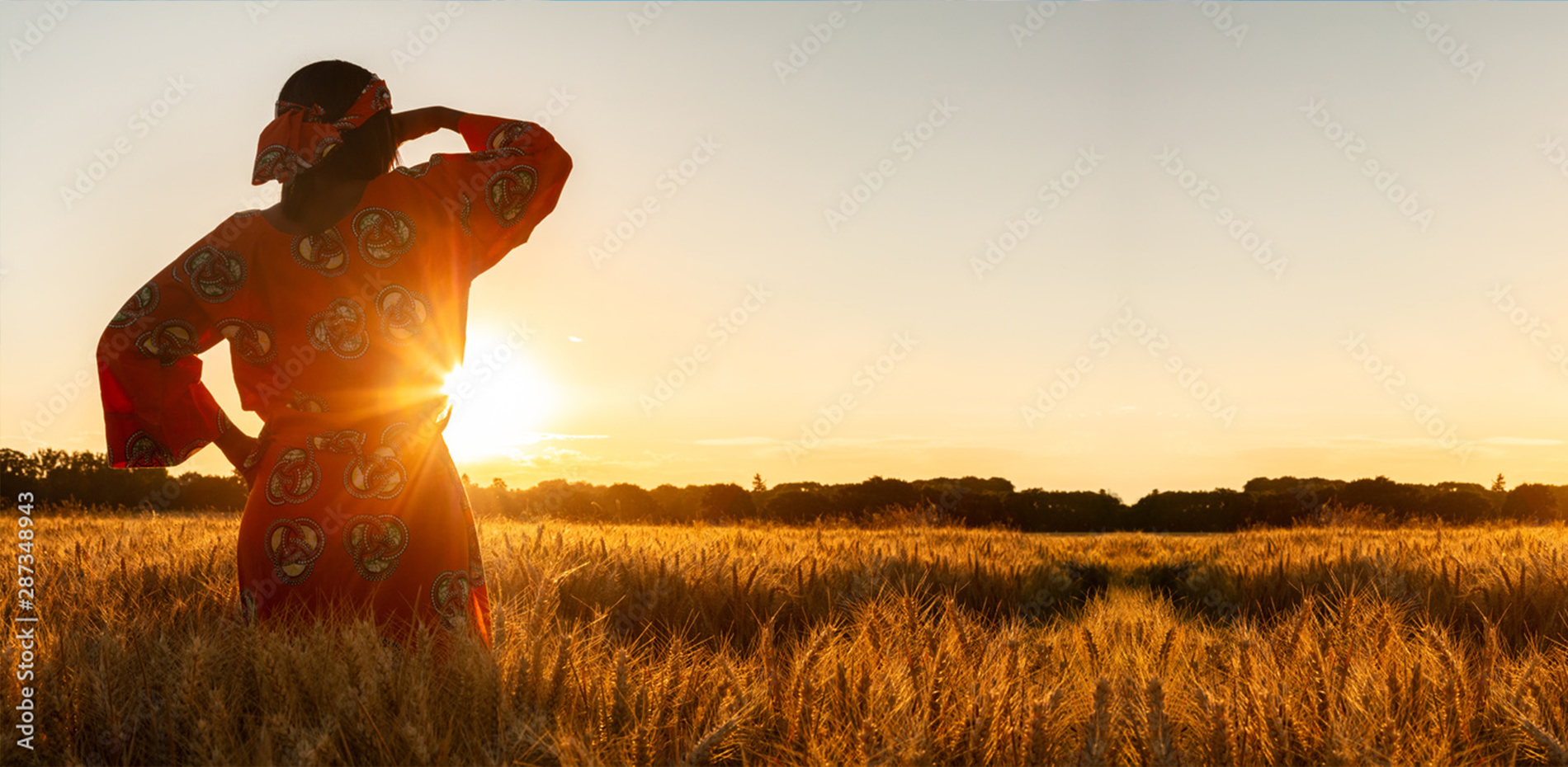 公司产品展示图